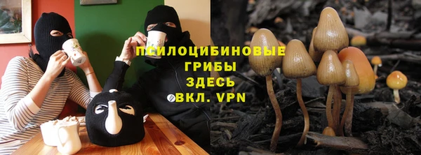 спиды Нягань
