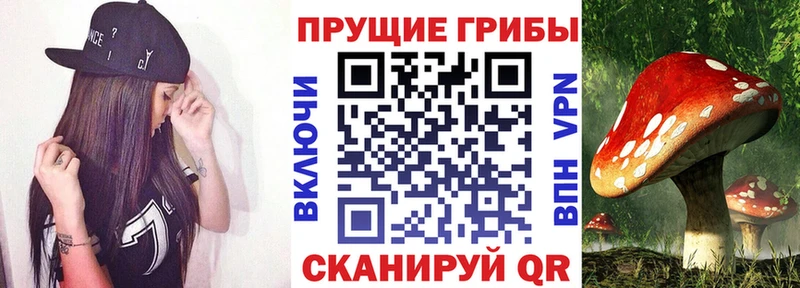 Псилоцибиновые грибы Psilocybe  цена   Семёнов 